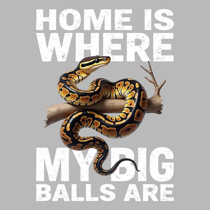 Python roi Serpents Amateurs de terrarium Python
