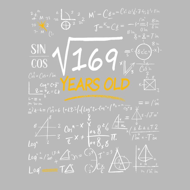 13 Years Birthday Math Formulas Funny