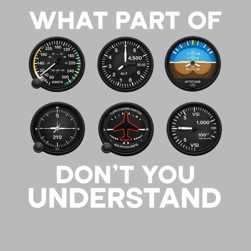 Flugzeug Flug Pilot Flugzeug Fluggesellschaft
