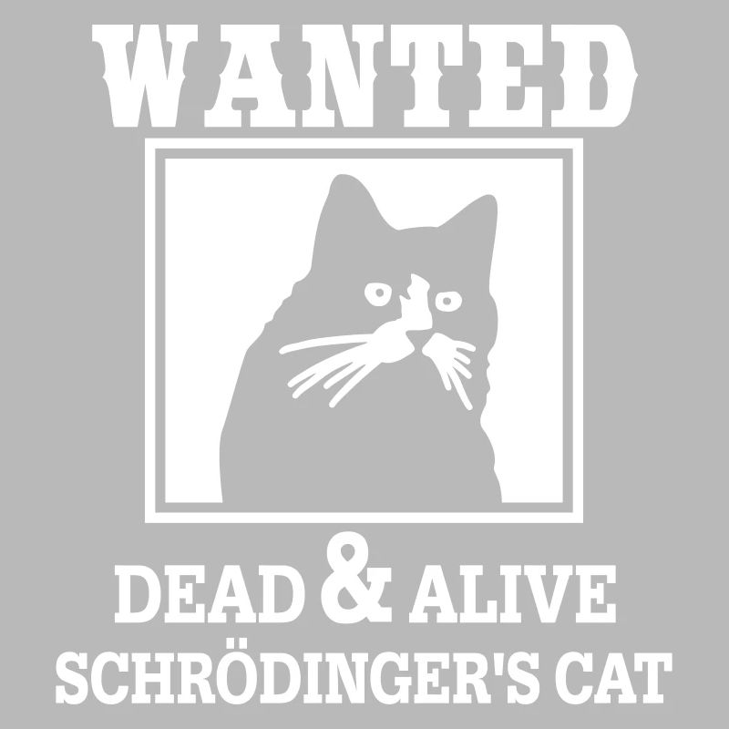 Schrödingers Katze gesucht, Nerdiges Quantenphysik