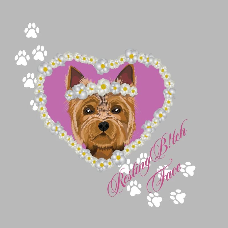 Ruhender Tch-Face Yorksire Terrier