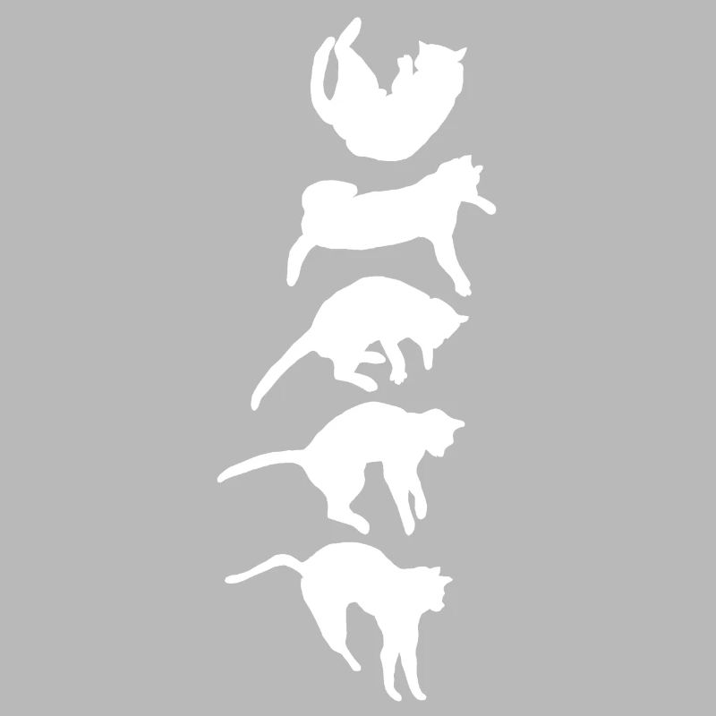 Réflexe de redressement du chat qui tombe