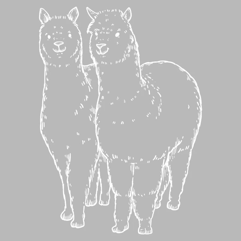 Two Alpaca Llama Lines Drawing