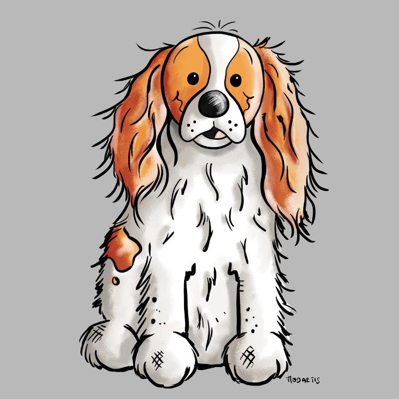 Cavalier King Charles Spaniel