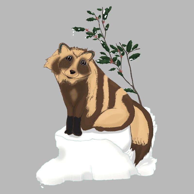 Tanuki sous le gui