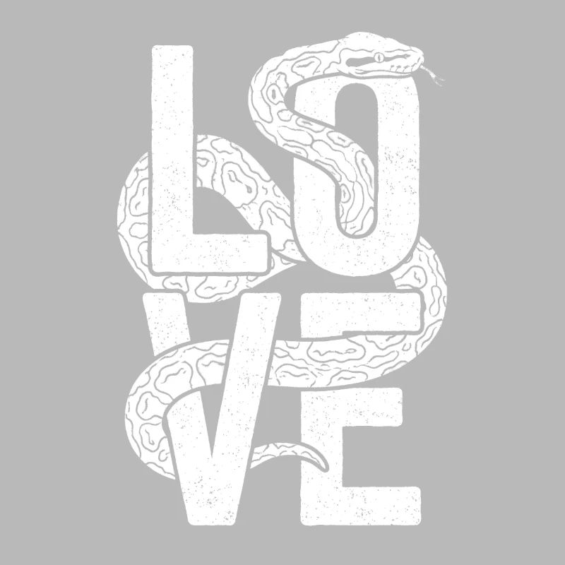 Les serpents rois Python ADORENT les pythons de terrarium