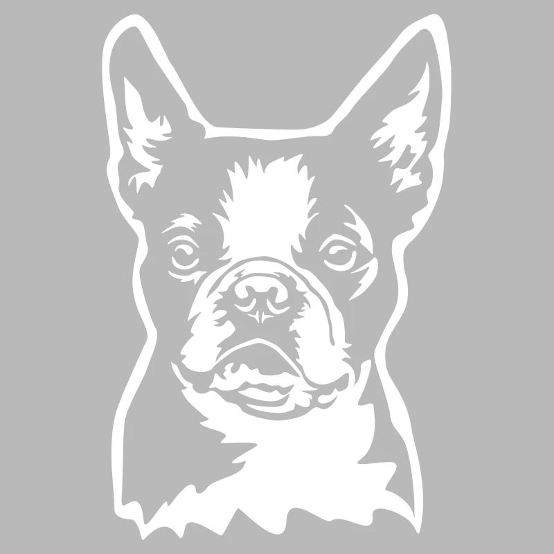 Boston Terrier Kopf "Black Edition"