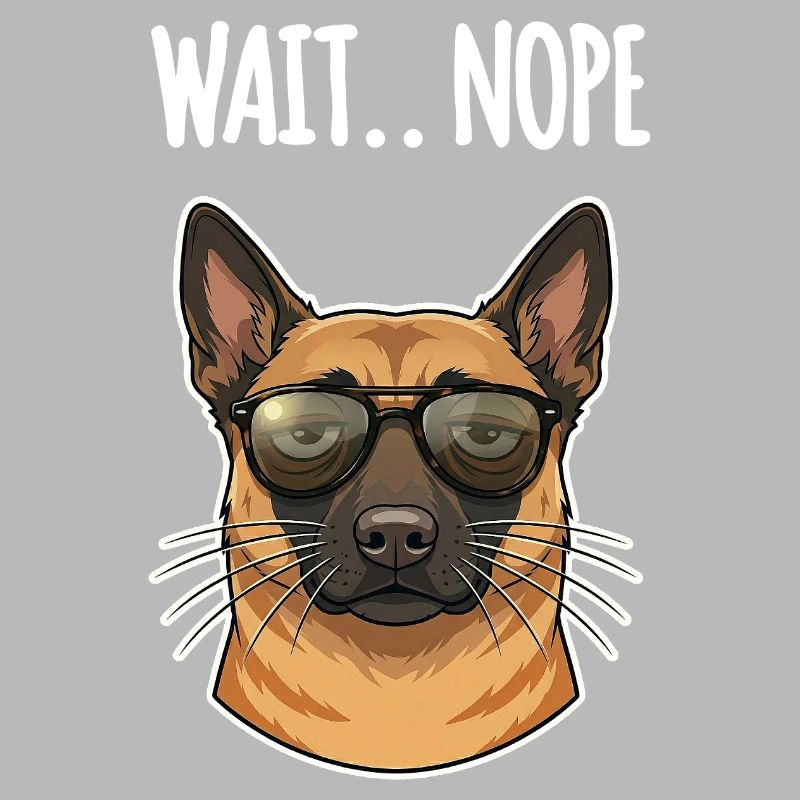 Malinois Non