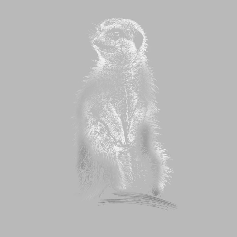 Erdmännchen