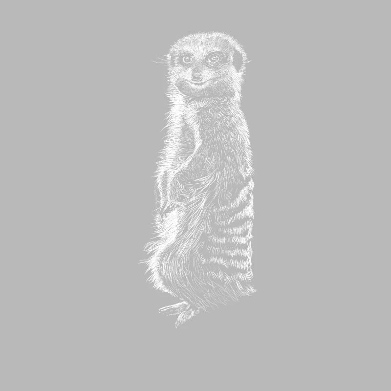Erdmännchen