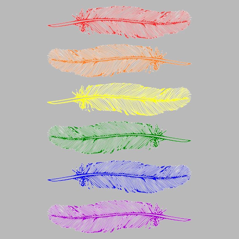 Federn Regenbogen