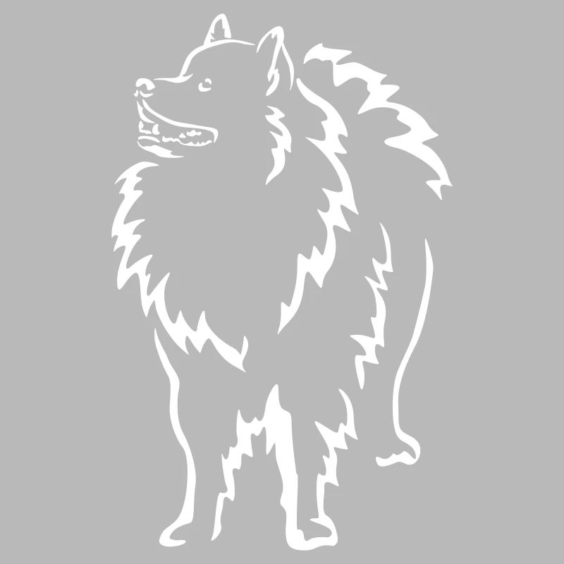 Wolfsspitz "Black Edition"