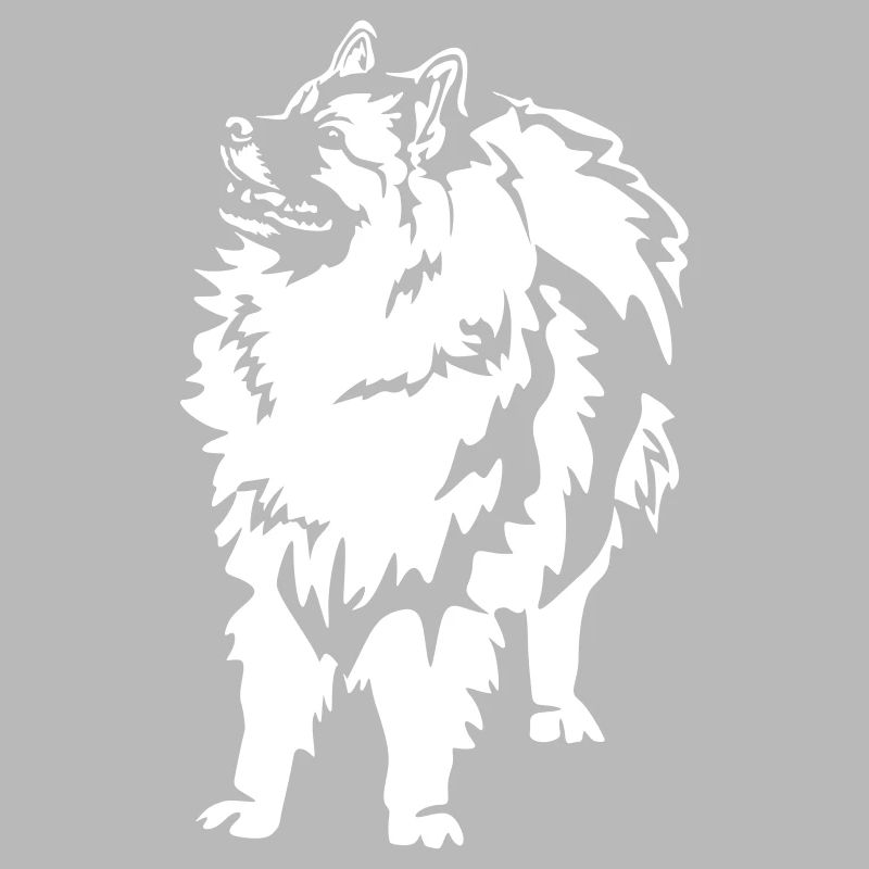 Wolfsspitz « Édition Noire »