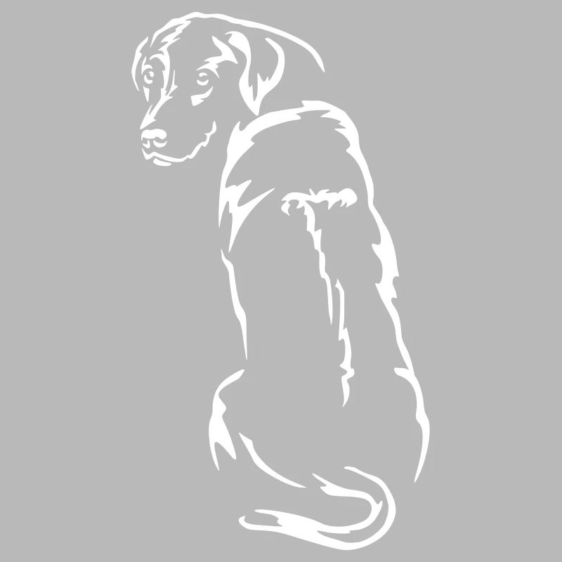 Rhodesian Ridgeback « Black Edition »