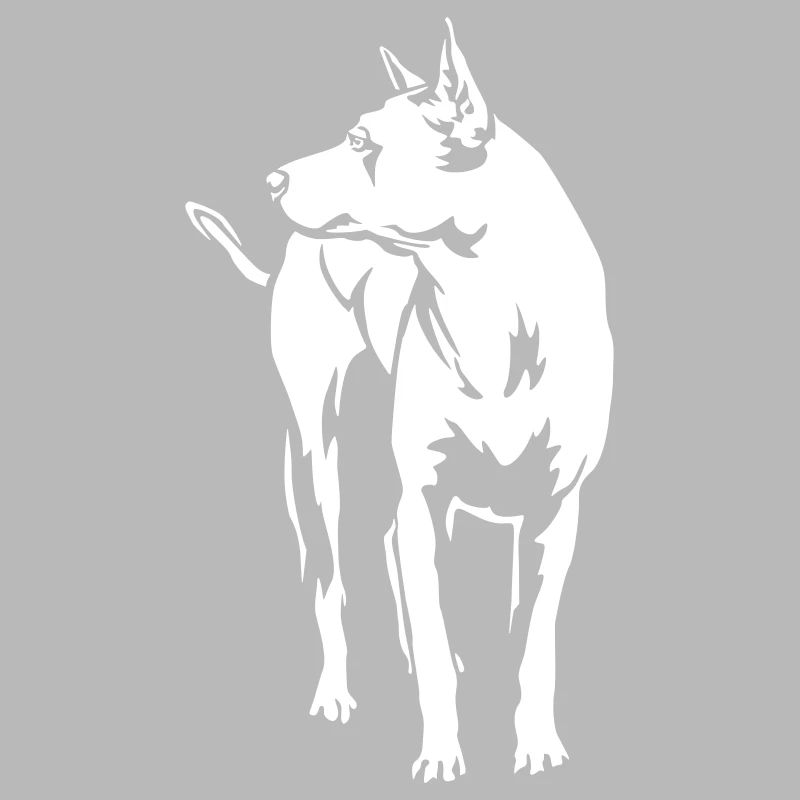 Thai Ridgeback « Black Edition »