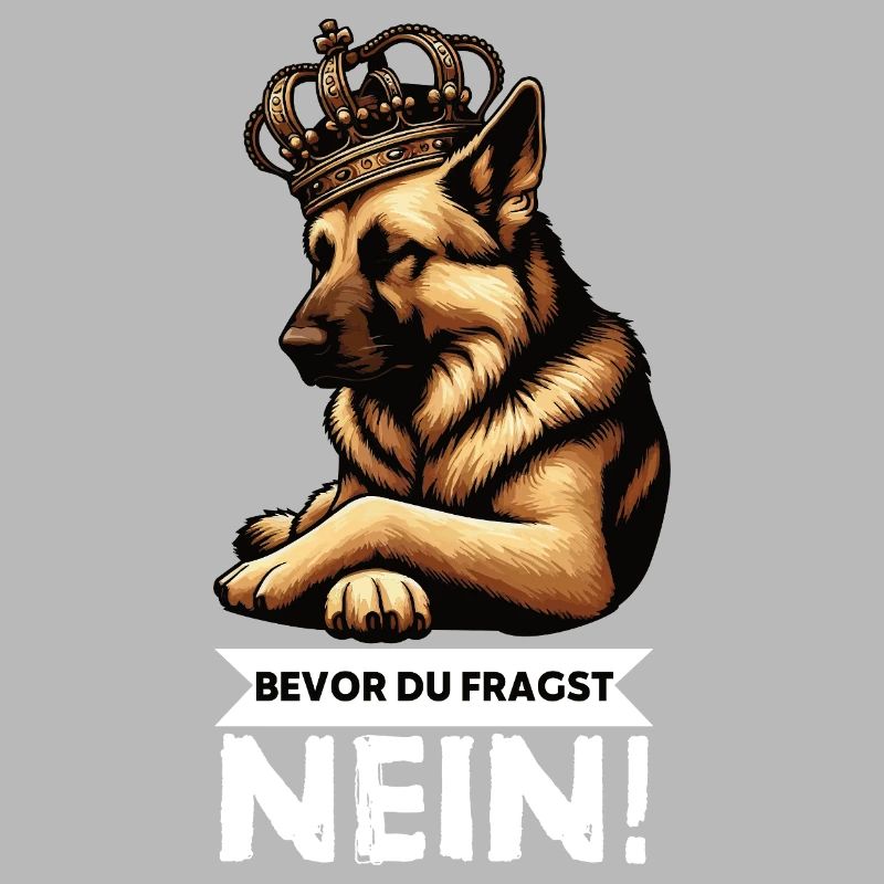 Before you ask German Shepherd Shepherds