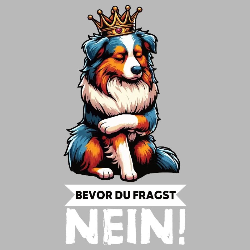 Before you ask: Australian Shepherd Aussie Aussie