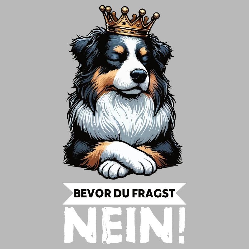 Avant que vous ne demandiez : Berger australien Aussie Aussie