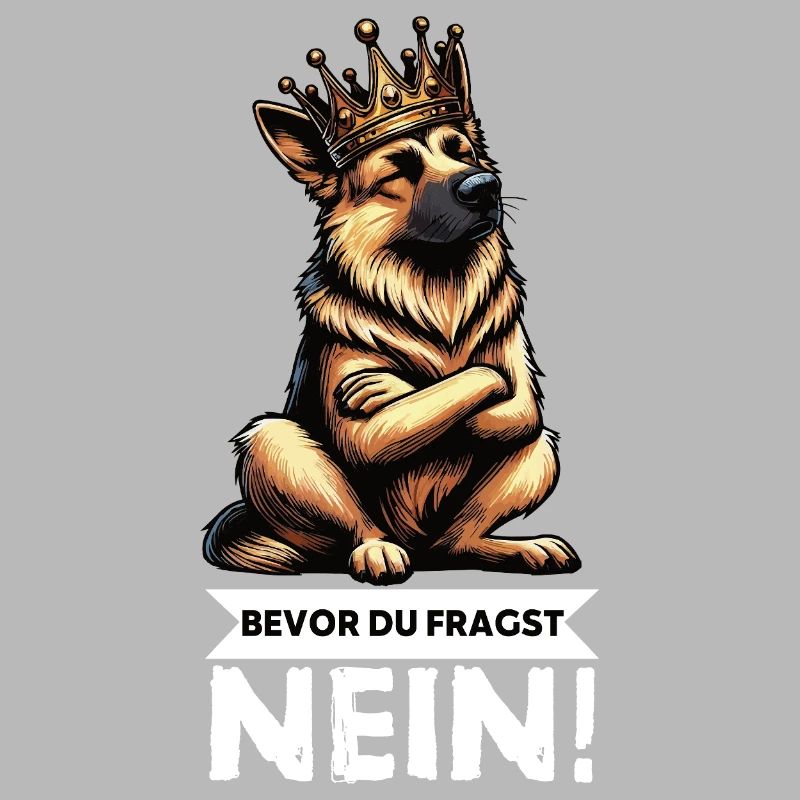 Before you ask German Shepherd Shepherds