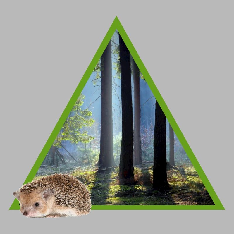 forêt 52 avec hérisson