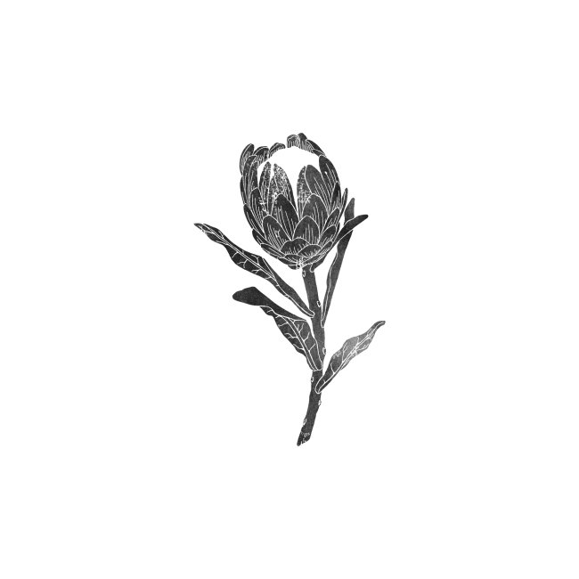 Linocut Protea Protea
