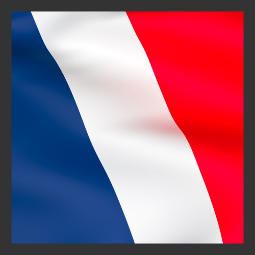 Flaga narodowa Francji tricolore - Naklejka