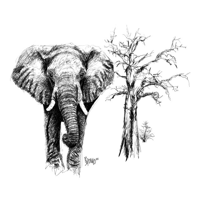 Bronko55 No.03 – Elephant Tree