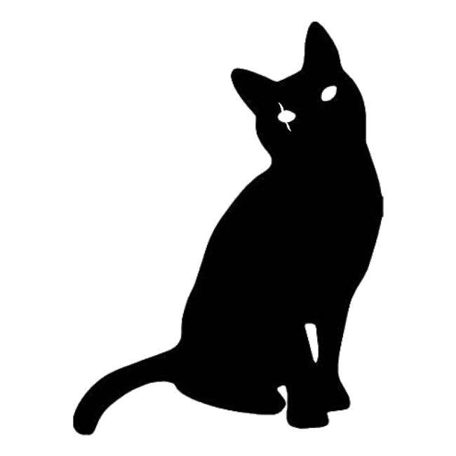 Black Cat ðŸ�ˆâ€�â¬›