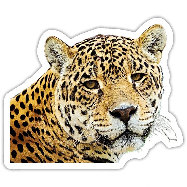 jaguar