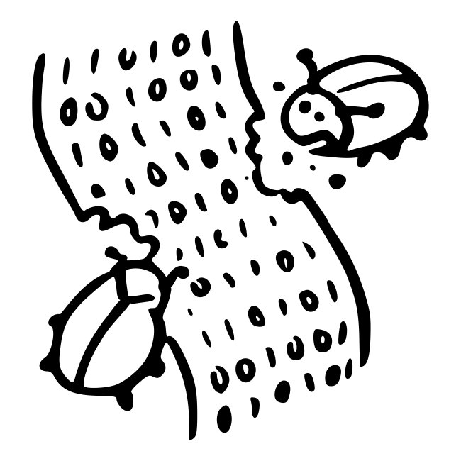 code bugs software