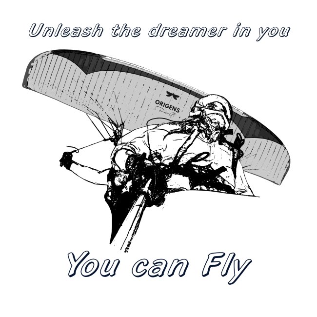 Unleash the dreamer you can fly