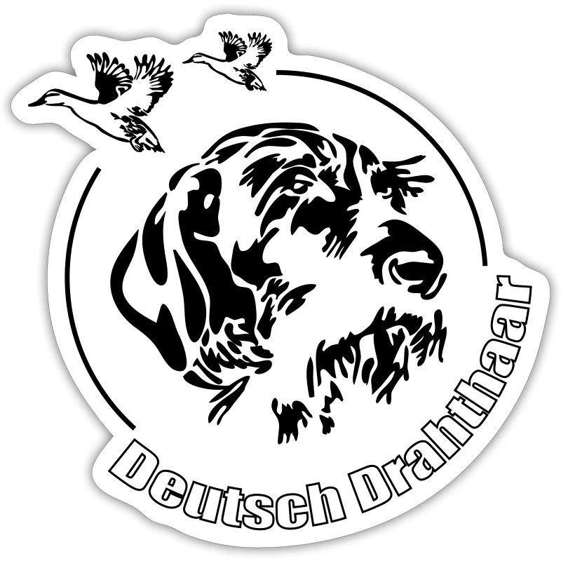 Deutsch Drahthaar Jagdhund Jagdhunde Wilsigns