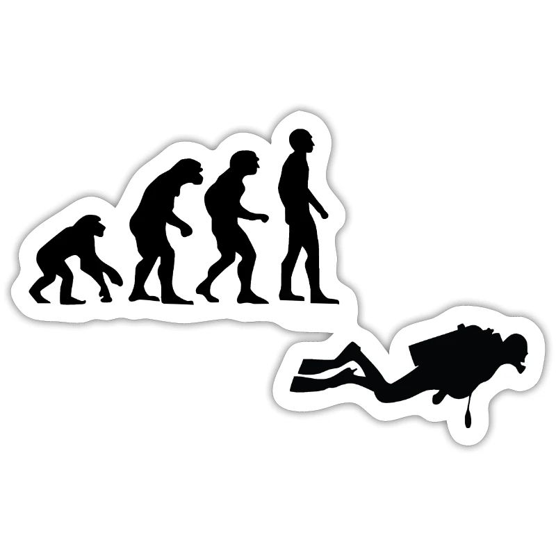 Evolution Tauchen