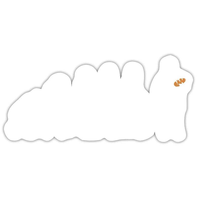 Baker evolution gift bread baking profession dough