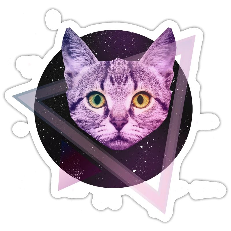 Chat de l'espace