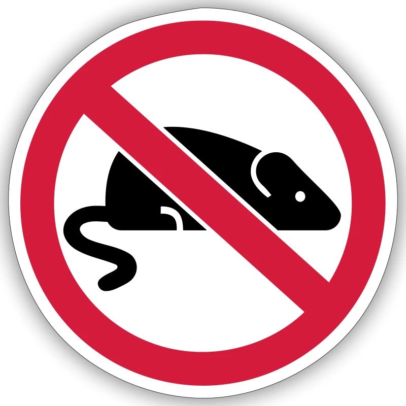 Maus