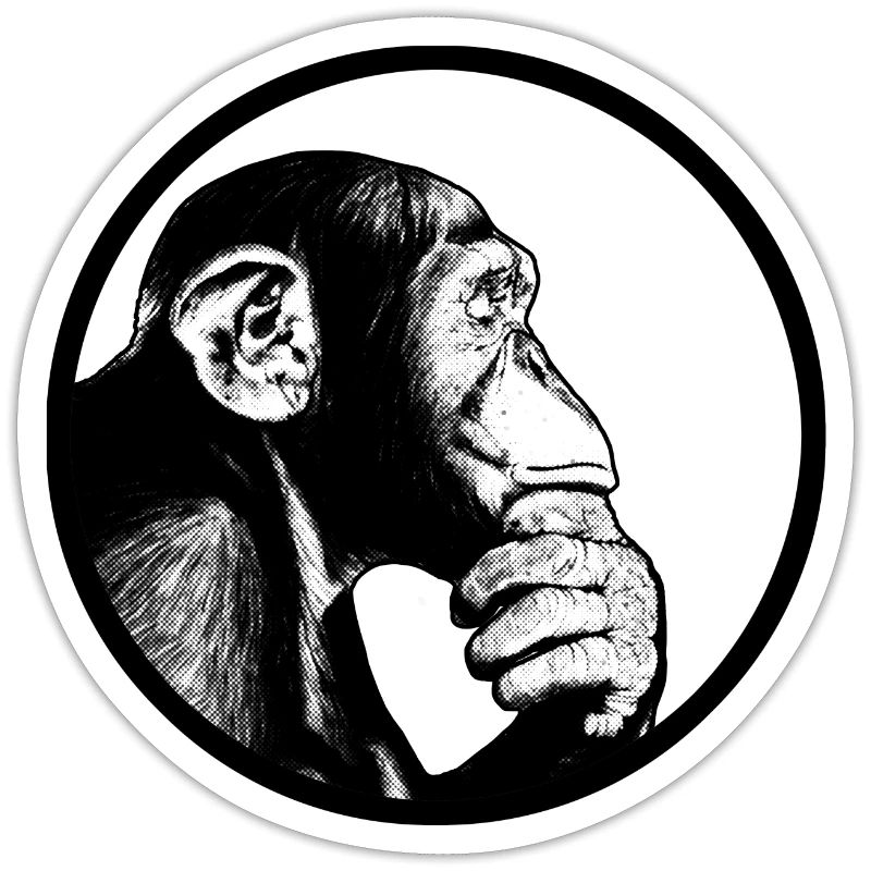 Think after monkey chimpanzee