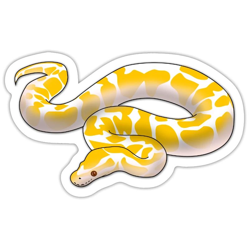 Albino ball python Python regius ballpython motif
