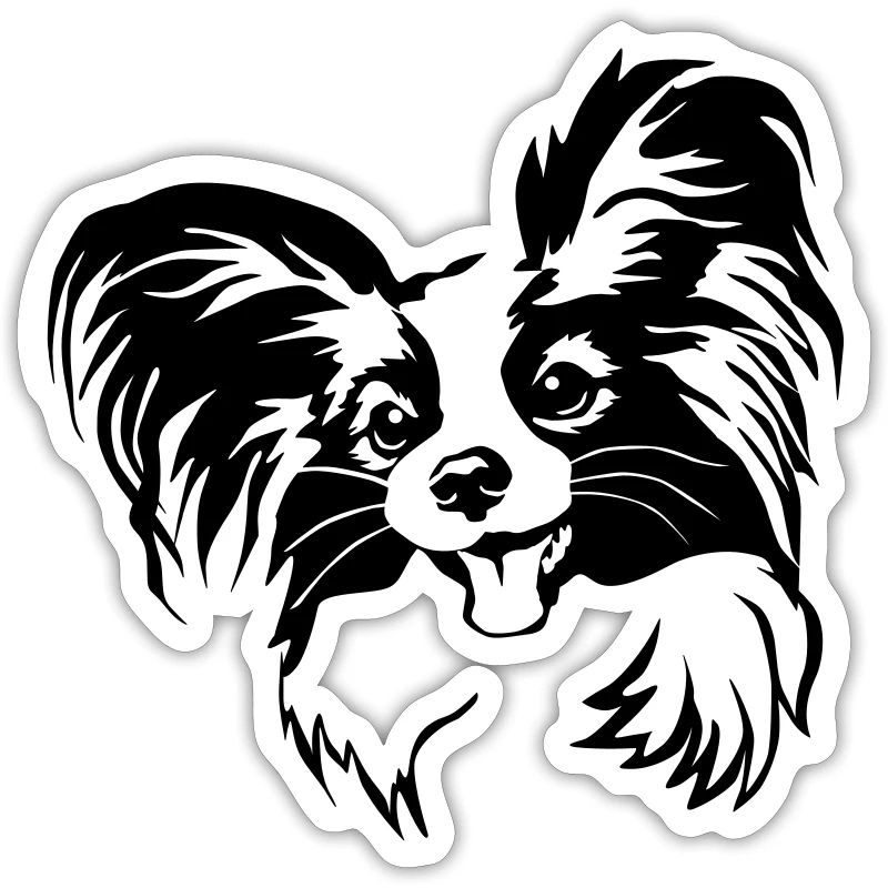 Papillon head