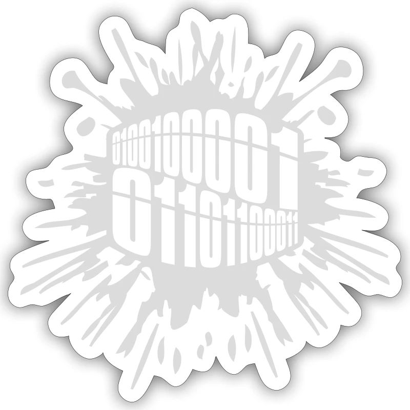 Langage de programme de code binaire