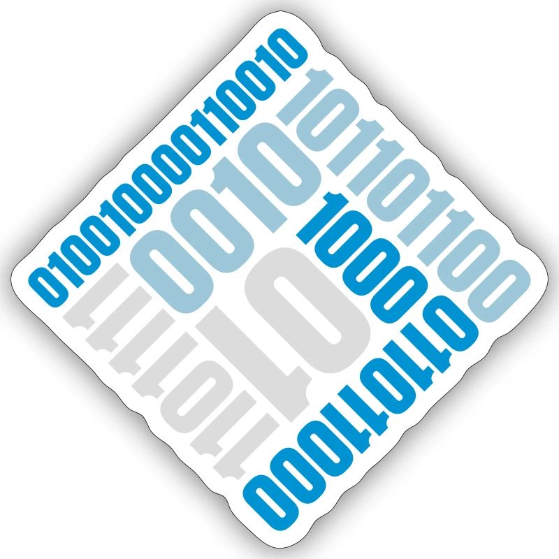 Langage de programme de code binaire