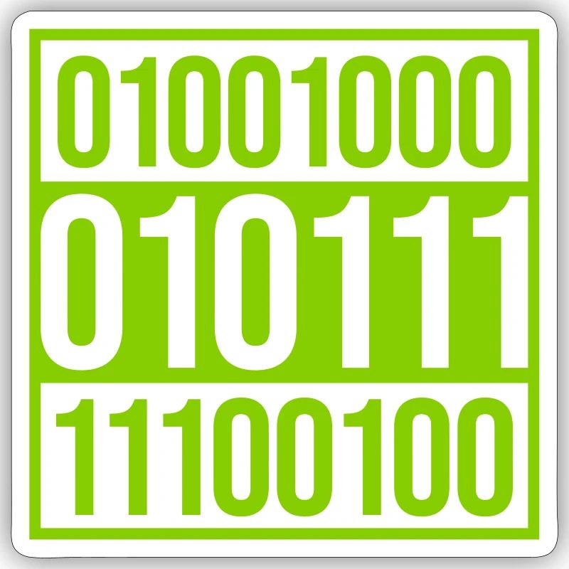 Binary Code Program Language