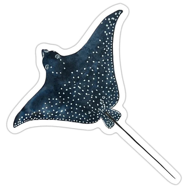 Rays Eagle Rays Stingrays Reef Diving