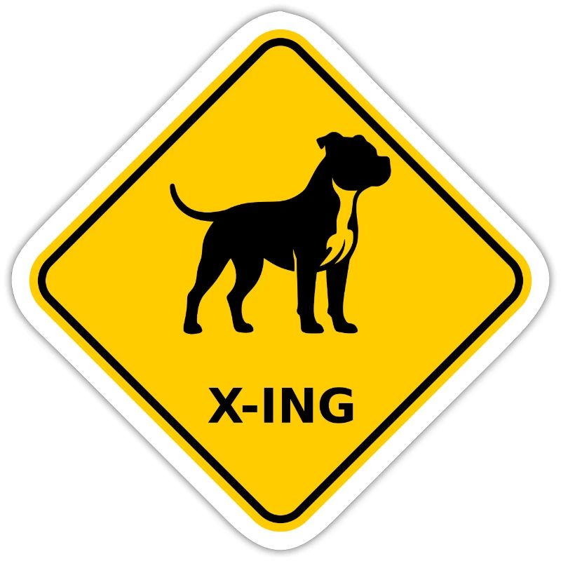 Bouclier « Bit Pull X-ING »