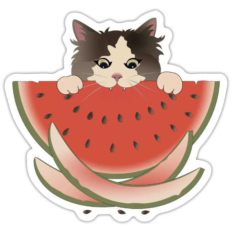 Délice de pastèque Chat