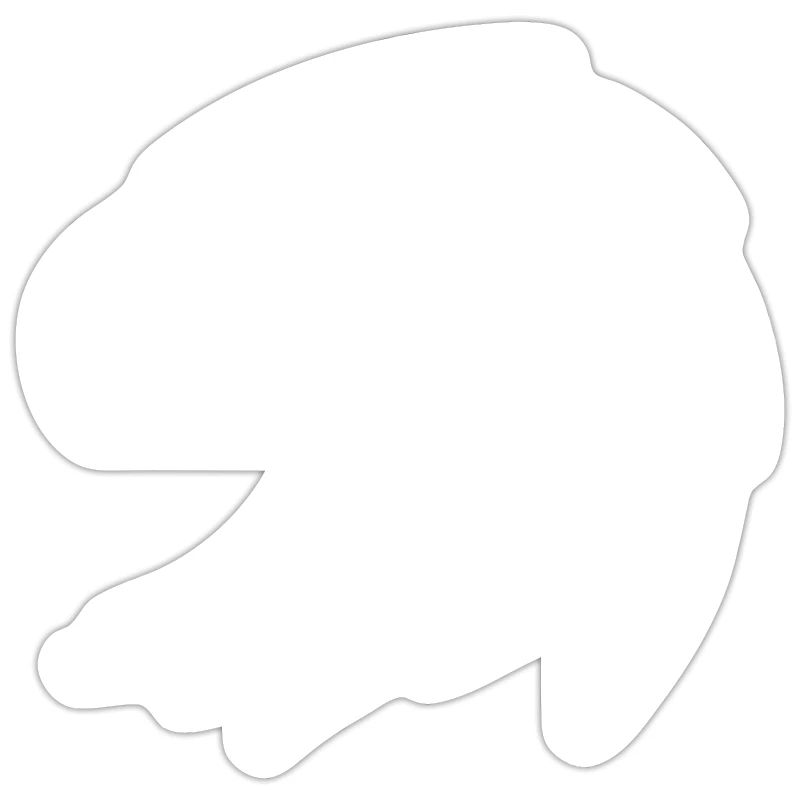 Eagle Eagle Head