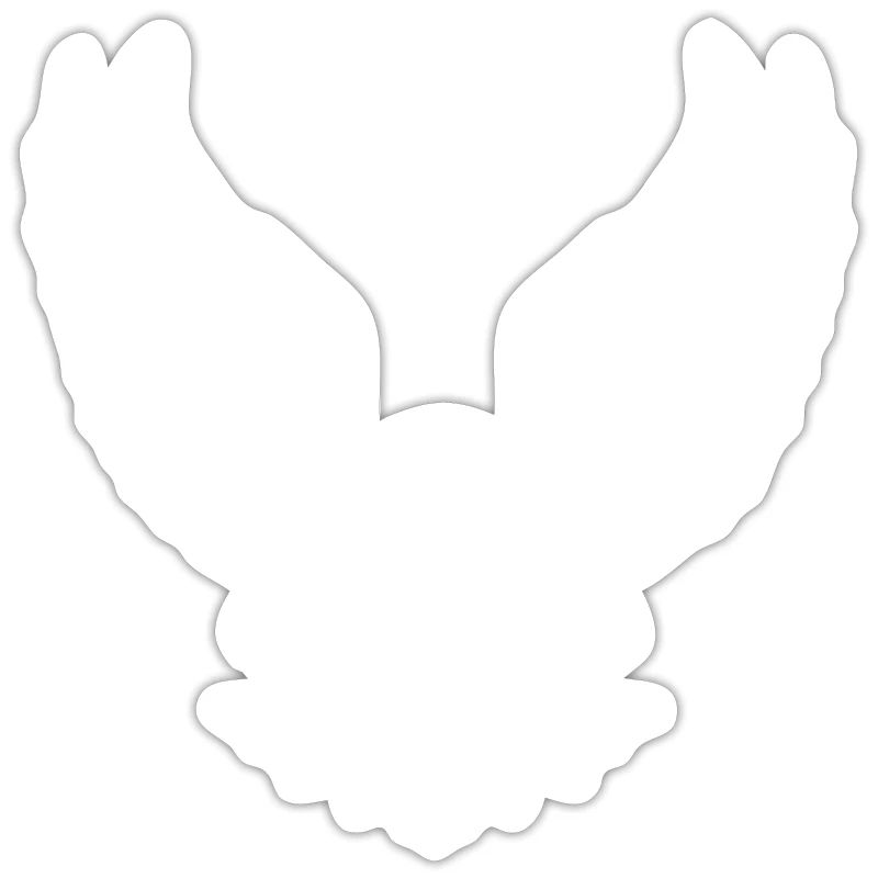 Powerful eagle with spread claws