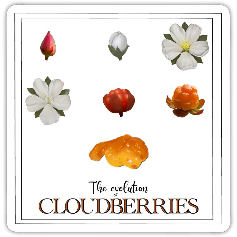 Die Evolution der Moltebeeren, mit Rahmen