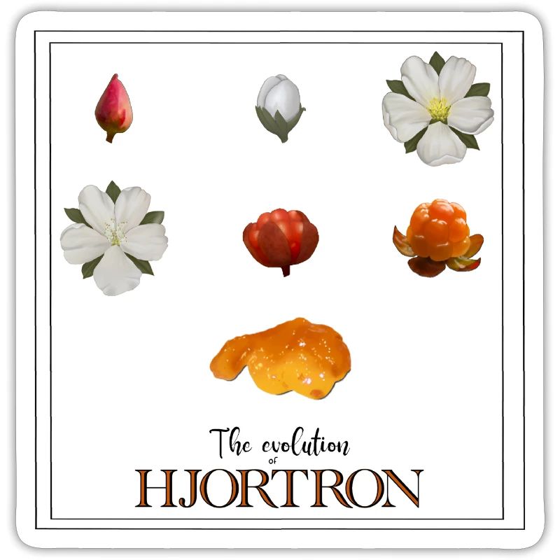 Die Evolution der Moltebeeren, mit Widder