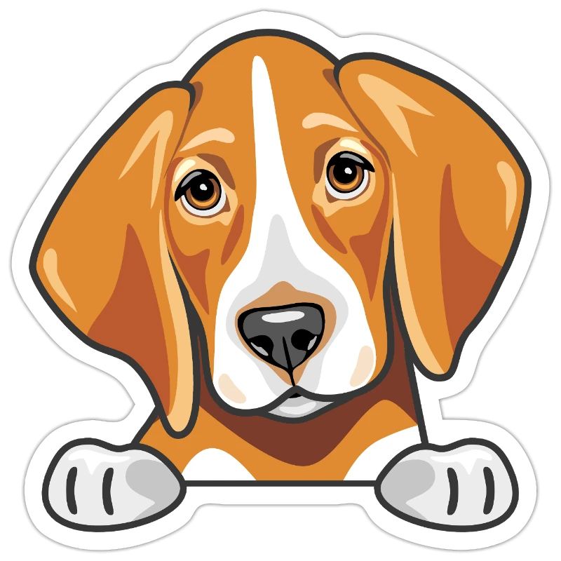 Coup d’œil mignon foxhound triste
